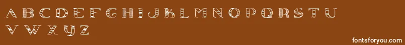 Conjecture Font – White Fonts on Brown Background