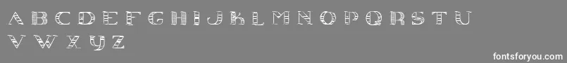 フォントConjecture – 灰色の背景に白い文字