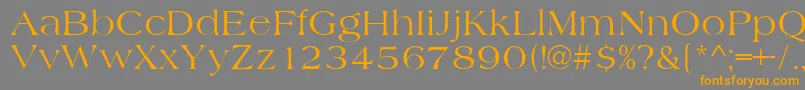 フォントAmidbNormal – オレンジの文字は灰色の背景にあります。