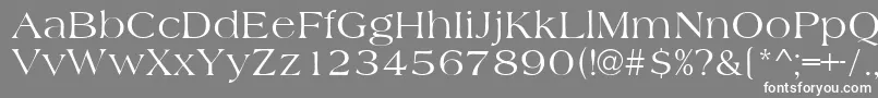 フォントAmidbNormal – 灰色の背景に白い文字