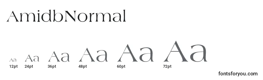 AmidbNormal Font Sizes