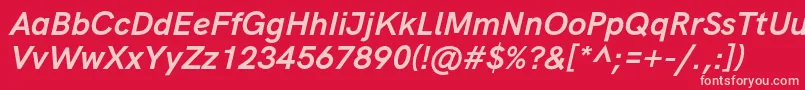 フォントHkgroteskBoldlegacyitalic – 赤い背景にピンクのフォント