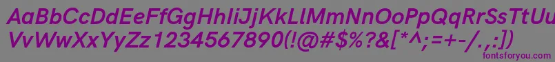 HkgroteskBoldlegacyitalic Font – Purple Fonts on Gray Background