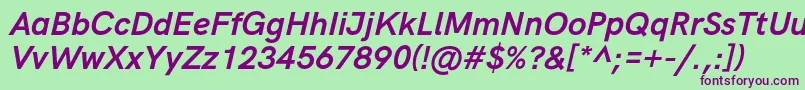 HkgroteskBoldlegacyitalic Font – Purple Fonts on Green Background