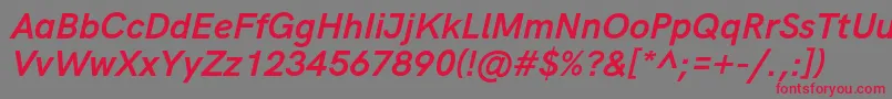HkgroteskBoldlegacyitalic Font – Red Fonts on Gray Background