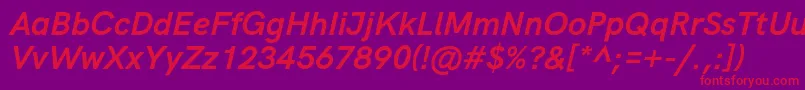 HkgroteskBoldlegacyitalic Font – Red Fonts on Purple Background