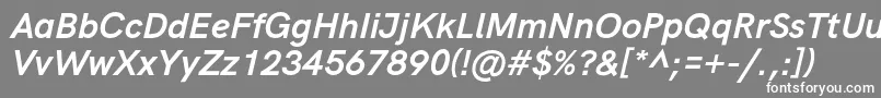 HkgroteskBoldlegacyitalic-fontti – valkoiset fontit harmaalla taustalla