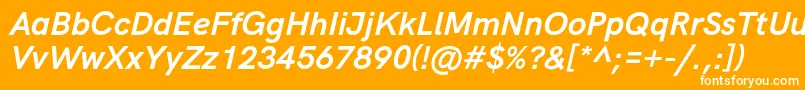 HkgroteskBoldlegacyitalic Font – White Fonts on Orange Background
