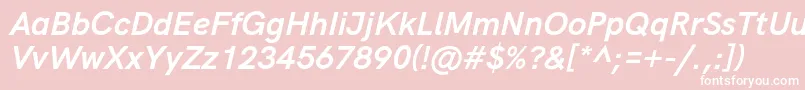 HkgroteskBoldlegacyitalic Font – White Fonts on Pink Background