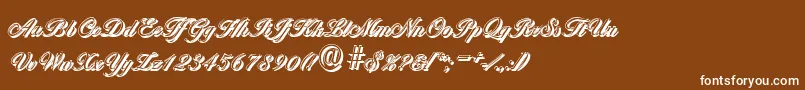 BallantinesshadowLightRegular Font – White Fonts on Brown Background