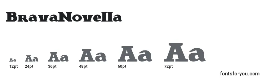 Размеры шрифта BravaNovella