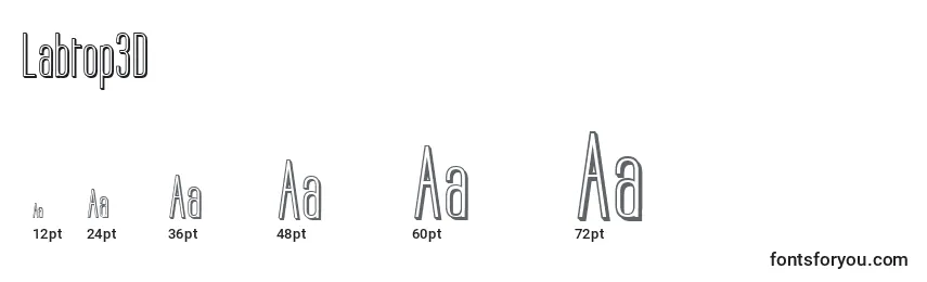 Labtop3D Font Sizes