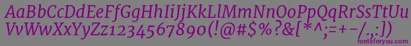 Шрифт MerriweatherItalic – фиолетовые шрифты на сером фоне