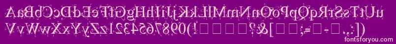 KingthingsBackwards Font – Pink Fonts on Purple Background