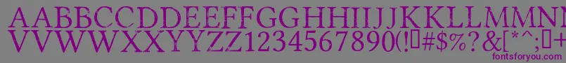 PortmanteauRegular Font – Purple Fonts on Gray Background