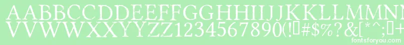 PortmanteauRegular Font – White Fonts on Green Background