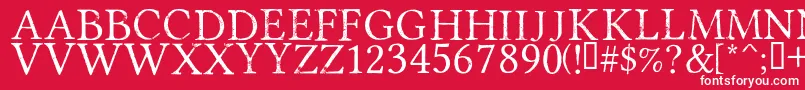 PortmanteauRegular Font – White Fonts on Red Background