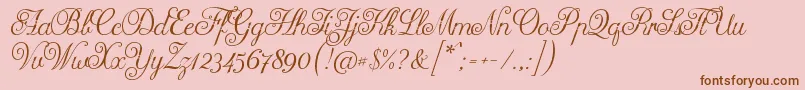 Arellion Font – Brown Fonts on Pink Background
