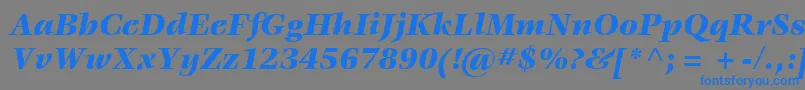 ItcVeljovicLtBlackItalic Font – Blue Fonts on Gray Background