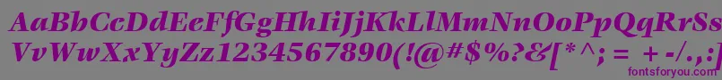 ItcVeljovicLtBlackItalic Font – Purple Fonts on Gray Background