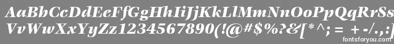 Шрифт ItcVeljovicLtBlackItalic – белые шрифты на сером фоне