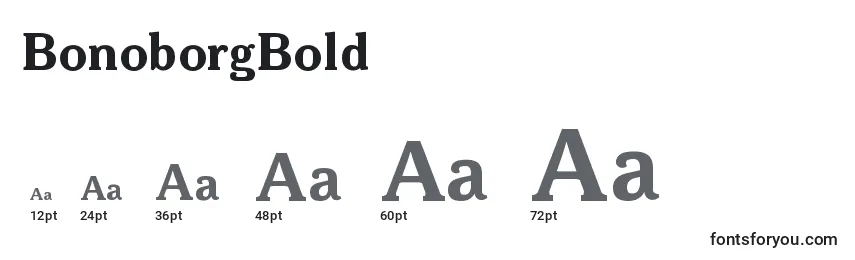 Размеры шрифта BonoborgBold