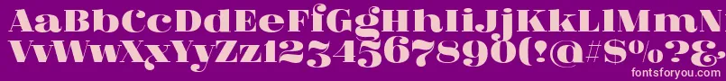 フォントFatFlamingo5 – 紫の背景にピンクのフォント