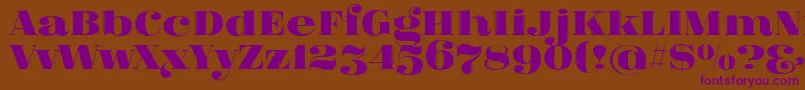 FatFlamingo5 Font – Purple Fonts on Brown Background