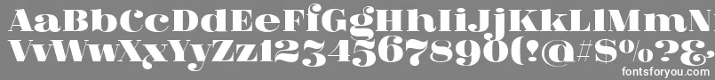 FatFlamingo5-Schriftart – Weiße Schriften auf grauem Hintergrund