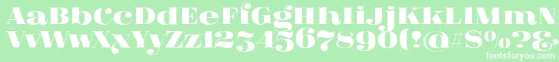 FatFlamingo5 Font – White Fonts on Green Background