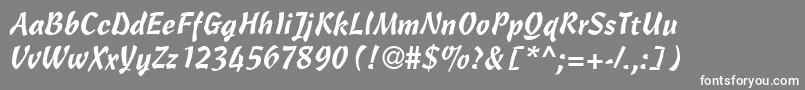 フォントCassockRegularDb – 灰色の背景に白い文字