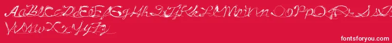 フォントDrunkTattoo – 赤い背景に白い文字