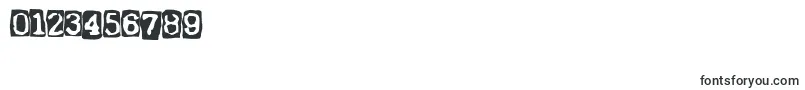 ErnstRegularbackg Font – Fonts for Numbers and Digits