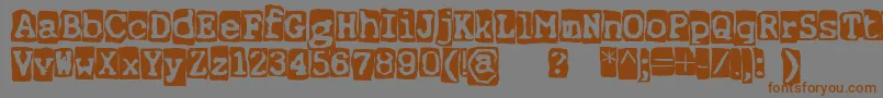 ErnstRegularbackg Font – Brown Fonts on Gray Background