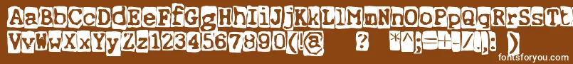 ErnstRegularbackg Font – White Fonts on Brown Background