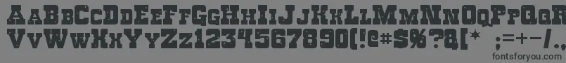 Roughknight Font – Black Fonts on Gray Background