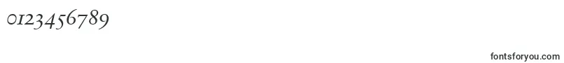 SabonnextLtDisplayItalicOldStyleFigures-Schriftart – Schriften für Zahlen und Nummern