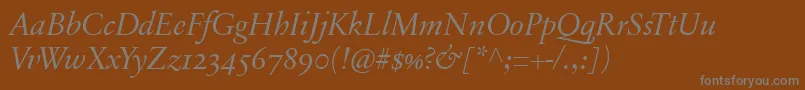 SabonnextLtDisplayItalicOldStyleFigures-Schriftart – Graue Schriften auf braunem Hintergrund