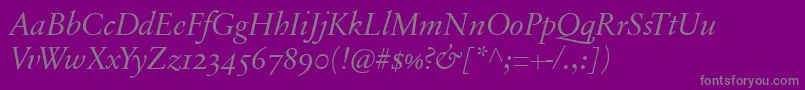 Police SabonnextLtDisplayItalicOldStyleFigures – polices grises sur fond violet
