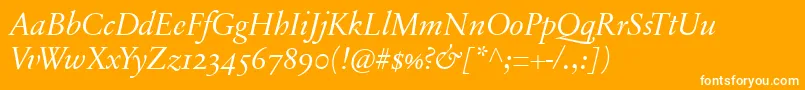 SabonnextLtDisplayItalicOldStyleFigures Font – White Fonts on Orange Background
