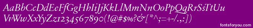 SabonnextLtDisplayItalicOldStyleFigures Font – White Fonts on Purple Background