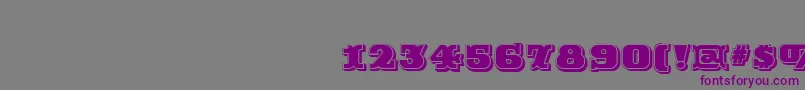 RutinDecorShaded-Schriftart – Violette Schriften auf grauem Hintergrund