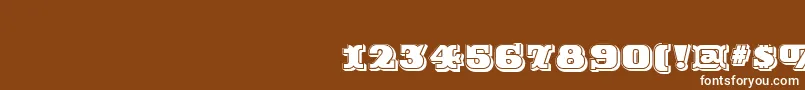 RutinDecorShaded Font – White Fonts on Brown Background