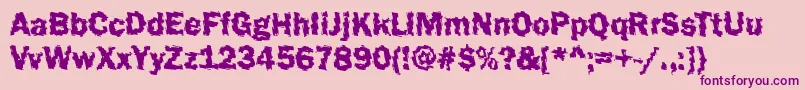 Funky44Bold Font – Purple Fonts on Pink Background