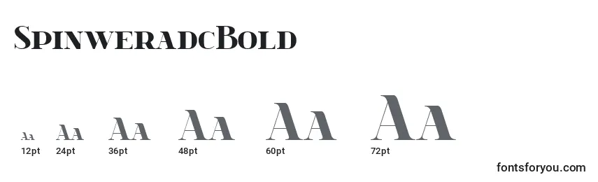 SpinweradcBold Font Sizes
