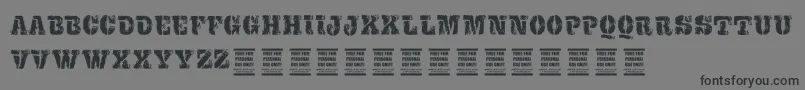 VtksExame Font – Black Fonts on Gray Background