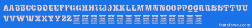 VtksExame Font – Pink Fonts on Blue Background