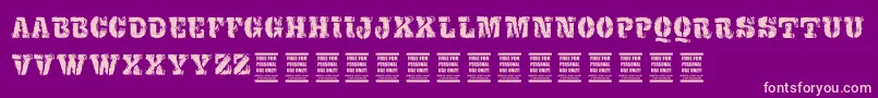 VtksExame Font – Pink Fonts on Purple Background