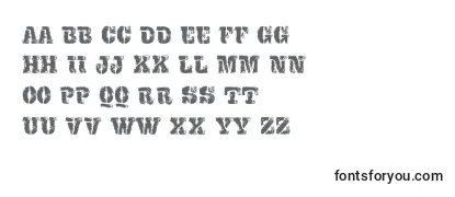 Review of the VtksExame Font