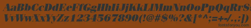Czcionka ItcFeniceLtUltraOblique – czarne czcionki na brązowym tle